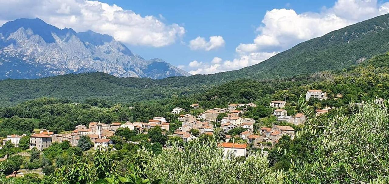A Casa Catalina B&B Ucciani 외부 사진